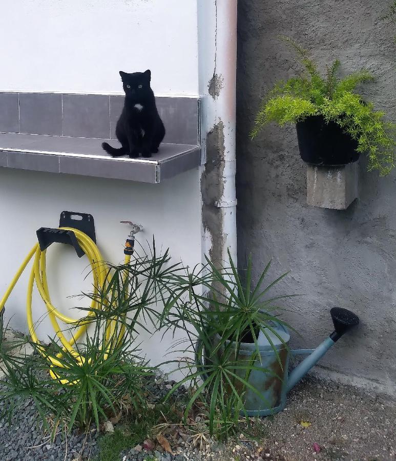 Chambre Avec Cuisine Et Sdb Semi-Privatives Separees Dans Un Ecrin De Verdure Les Abymes Eksteriør bilde